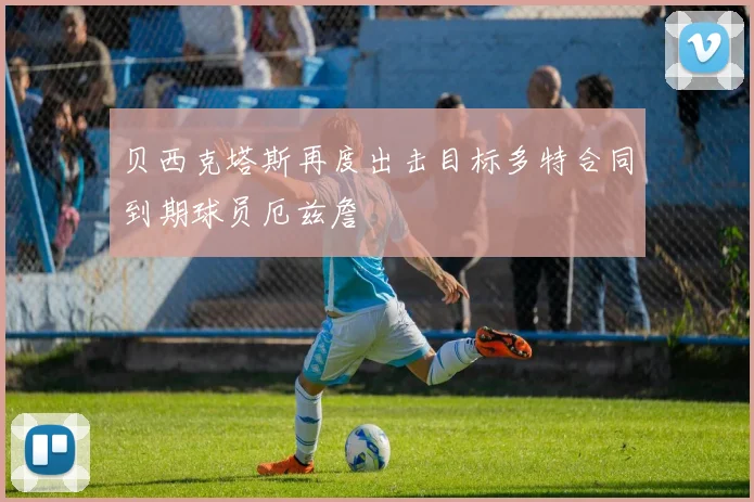 贝西克塔斯再度出击目标多特合同到期球员厄兹詹