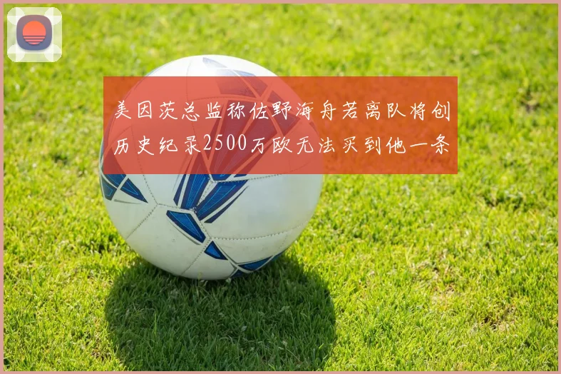美因茨总监称佐野海舟若离队将创历史纪录2500万欧无法买到他一条腿